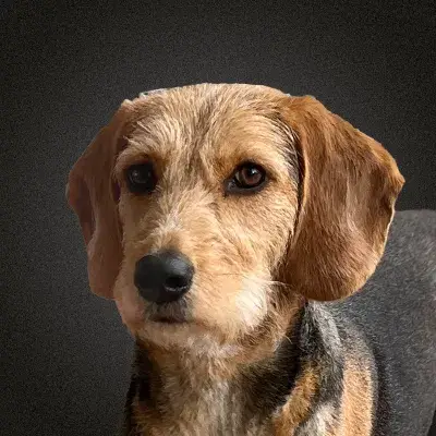 Ella