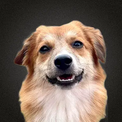 Milo