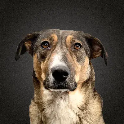 Selma